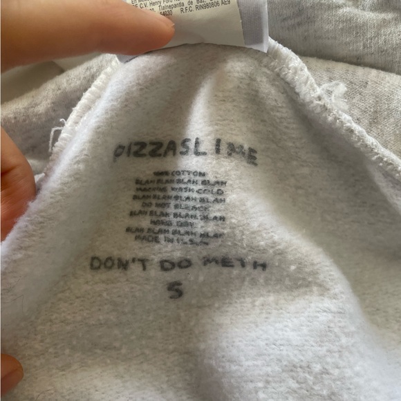 Erewhon Hoodie (Champion x Pizzaslime) ~ Ash Grey - Picture 3 of 4